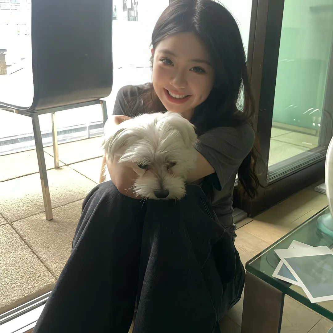 魔法科高校的劣等生第三季 动画剧集封面