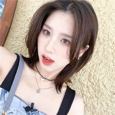 熊出没之丛林总动员 动画电影封面